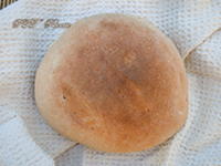 Pane di farro